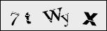 Verify Image
